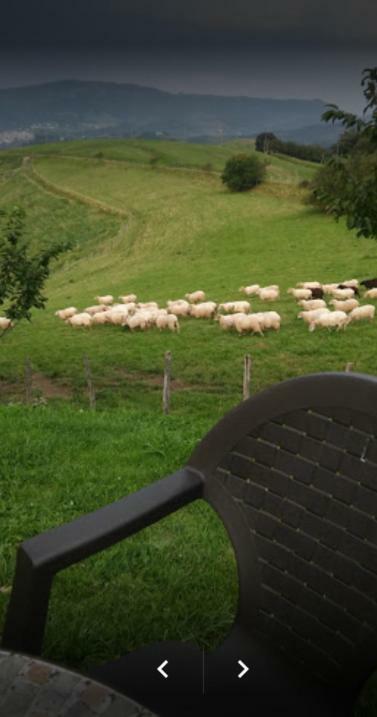 Casa Rural Orortegi Aia ภายนอก รูปภาพ